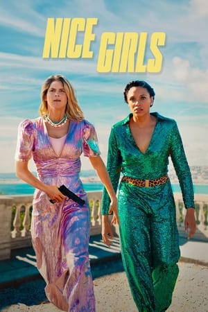 Nice Girls 2024 Hindi Dual Audio HDRip 1080p – 720p – 480p - Movierulz