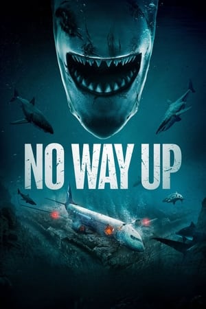 No Way Up (2024) Hindi Dual Audio HDRip 720p – 480p – 1080p - Movierulz