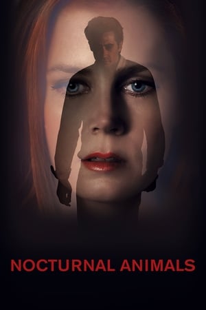 Nocturnal Animals (2016) Hindi Dual Audio 480p BluRay 380MB - Movierulz