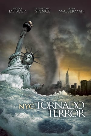 NYC Tornado Terror 2008 Hindi Dual Audio 720p BluRay [1.1GB] - Movierulz