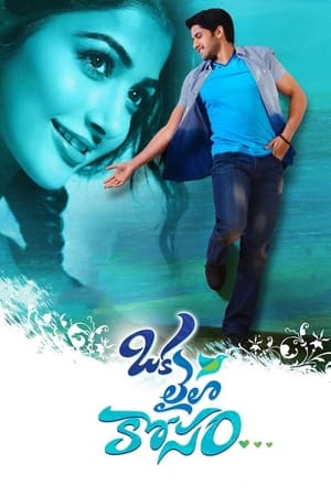 Oka Laila Kosam 2014 (Hindi – Telugu) Dual Audio 480p UnCut HDRip 500MB - Movierulz