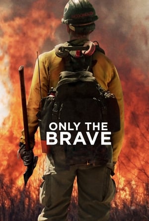 Only the Brave 2017 Hindi Dual Audio HDRip 720p – 480p - Movierulz