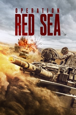 Operation Red Sea (2018) Hindi Dual Audio 480p BluRay 450MB - Movierulz