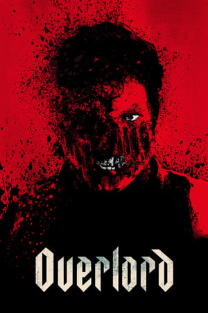 Overlord (2018) Hindi Dual Audio 480p BluRay 380MB - Movierulz