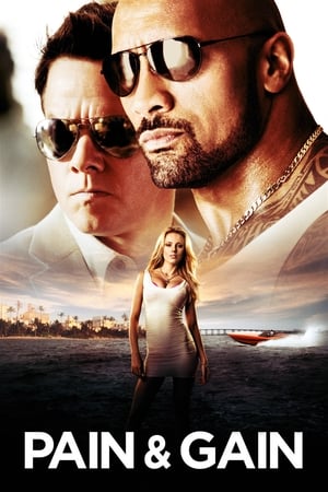 Pain & Gain 2013 Movie 100MB Hevc Buray Hindi Dual Audio - Movierulz