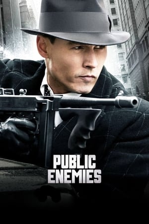 Public Enemies (2009) Hindi Dual Audio 480p BluRay 400MB - Movierulz