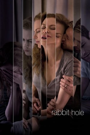 Rabbit Hole (2010) Hindi Dual Audio 480p BluRay 300MB - Movierulz