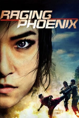 Raging Phoenix (2009) Hindi Dual Audio 720p HDRip [1GB] - Movierulz