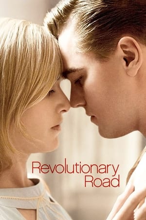 Revolutionary Road (2008) Hindi Dual Audio 480p BluRay 380MB - Movierulz