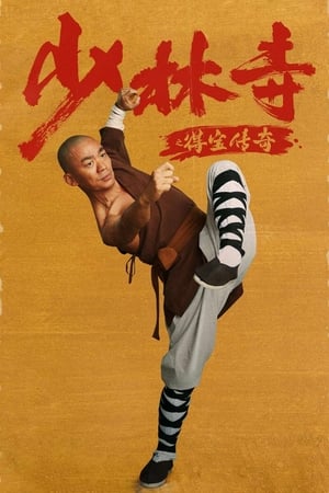 Rising Shaolin: The Protector (2021) Hindi Dual Audio HDRip 720p – 480p - Movierulz