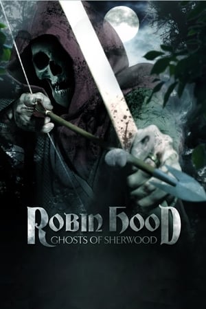 Robin Hood: Ghosts of Sherwood (2012) Hindi Dual Audio 480p BluRay 350MB - Movierulz