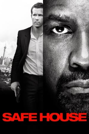 Safe House (2012) Hindi Dual Audio 720p BluRay [1GB] - Movierulz