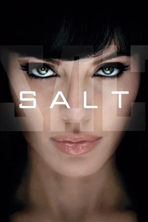 Salt (2010) Hindi Dual Audio 480p BluRay 300MB - Movierulz