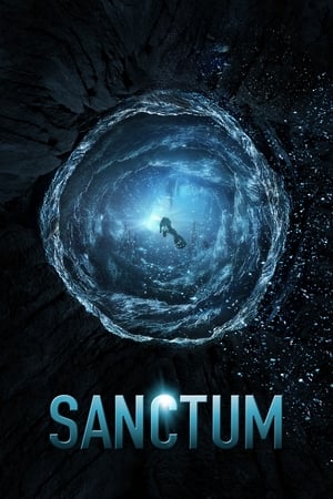 Sanctum (2011) Hindi Dual Audio 480p BluRay 400MB - Movierulz