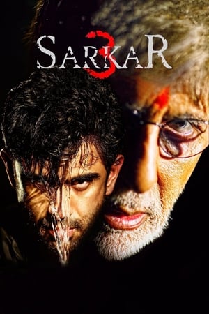 Sarkar 3 (2017) Full Movie pDVDRip [700MB] Download - Movierulz