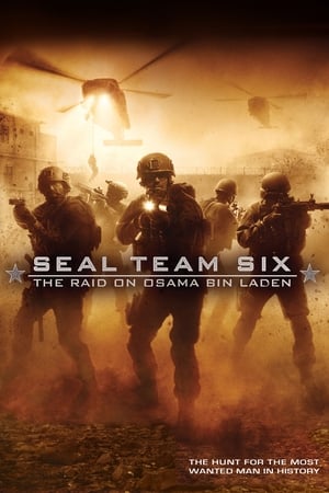 Seal Team Six: The Raid on Osama Bin Laden (2012) Hindi Dual Audio 480p BluRay 300MB - Movierulz