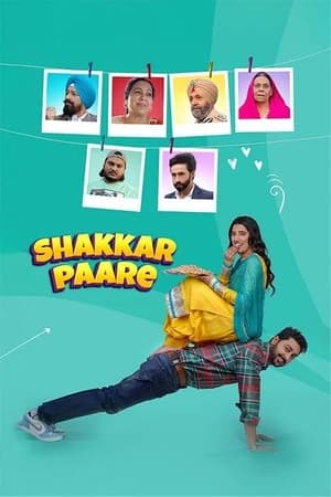 Shakkar Paare 2022 Punjabi Movie Pre-DVDRip 720p – 480p - Movierulz