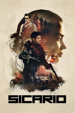 Sicario 2015 Hindi Dual Audio 480p BluRay 350MB - Movierulz