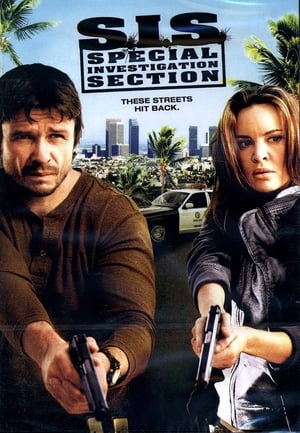 SIS Special Investigation Section 2008 Hindi Dual Audio 720p BluRay [1.1GB] - Movierulz