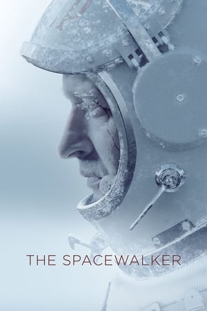 Spacewalk 2017 Hindi Dual Audio HDRip 720p – 480p - Movierulz