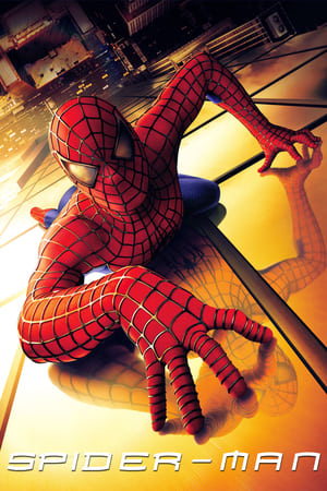 Spider-Man (2002) Hindi Dual Audio 480p BluRay 370MB - Movierulz