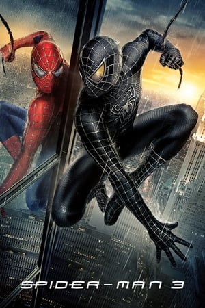 Spider-Man 3 (2007) Hindi Dual Audio 480p BluRay 300MB - Movierulz