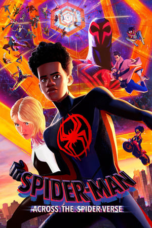 Spider-Man: Across the Spider-Verse 2023 Hindi (ORG) HDRip | 720p | 480p - Movierulz