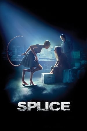 Splice 2009 Hindi Dual Audio 480p BluRay 330MB - Movierulz