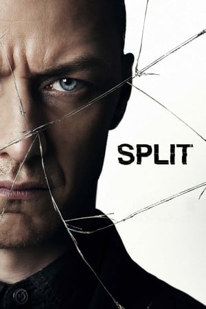 Split (2016) Hindi Dual Audio 480p BluRay 400MB - Movierulz