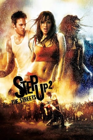 Step Up 2 The Streets 2008 Hindi Dual Audio 480p BluRay 300MB - Movierulz