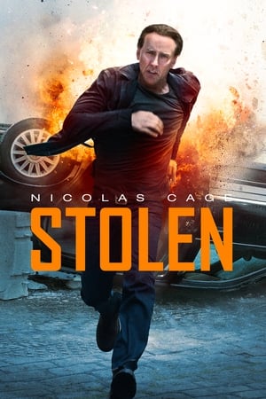 Stolen (2012) Hindi Dual Audio 480p BluRay 300MB ESubs - Movierulz