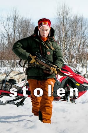 Stolen (2024) Hindi Dual Audio HDRip 1080p – 720p – 480p - Movierulz