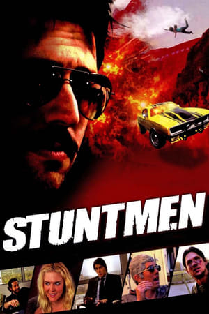 Stuntmen 2009 Hindi Dual Audio 720p WebRip [800MB] - Movierulz