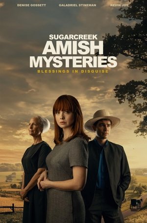 Sugarcreek Amish Mysteries: Blessings in Disguise (2025) WEBRIP Hindi (MULTI AUDIO) 720p – 480p – 1080p