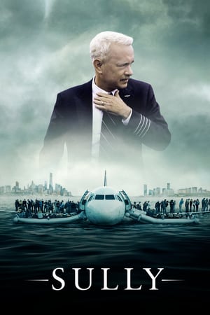 Sully (2016) Hindi (Unofficial Dubbed) Dual Audio BluRay [480p] [720p] - Movierulz