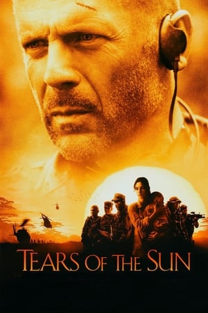 Tears of the Sun 2003 Hindi Dual Audio 480p BluRay 360MB - Movierulz