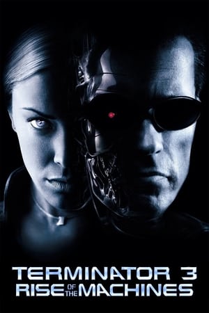 Terminator 3: Rise of the Machines (2003) Hindi Dual Audio 480p BluRay 350MB - Movierulz