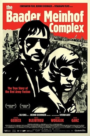 The Baader Meinhof Complex (2008) Hindi Dual Audio 480p HDRip 500MB - Movierulz