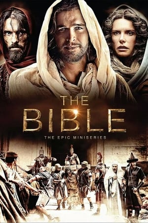 The Bible 2013 S01E05 (Hindi) Dubbed 720p BRRip [250MB] - Movierulz