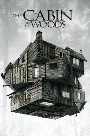 The Cabin in the Woods (2011) Hindi Dual Audio 480p BluRay 300MB - Movierulz