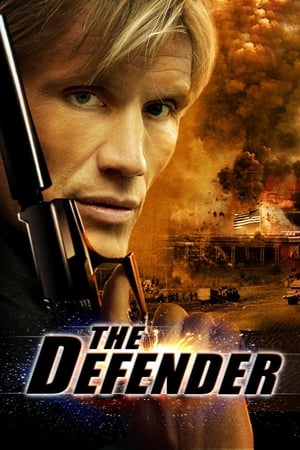 The Defender (2004) Hindi Dual Audio 480p BluRay 300MB - Movierulz