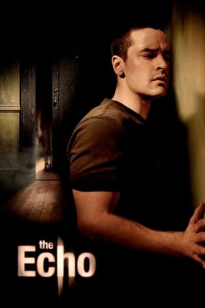 The Echo (2008) Hindi Dual Audio 480p BluRay 300MB - Movierulz