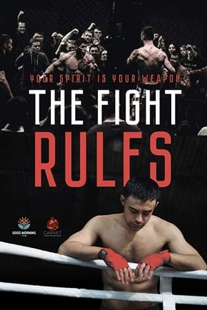 The Fight Rules 2017 Hindi Dual Audio 480p WebRip 260MB - Movierulz