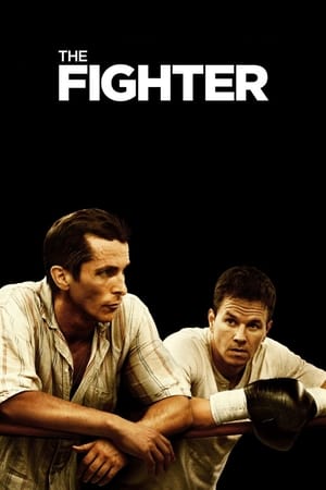 The Fighter (2010) Hindi Dual Audio 480p BluRay 360MB - Movierulz