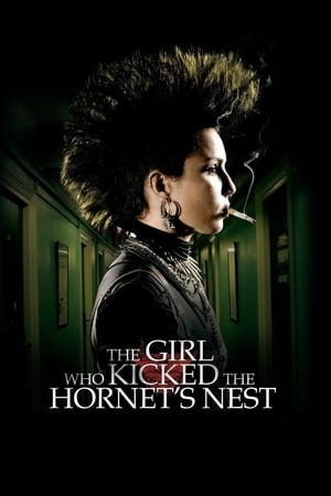 The Girl Who Kicked the Hornet's Nest (2009) Hindi Dual Audio 720p BluRay [1.2GB] - Movierulz