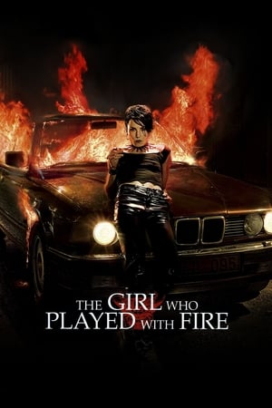 The Girl Who Played with Fire (2009) Hindi Dual Audio 480p BluRay 330MB - Movierulz