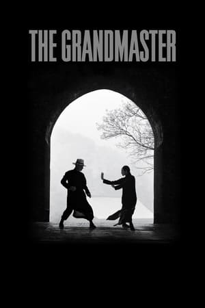 The Grandmaster (2013) Hindi Dual Audio 480p BluRay 350MB ESubs - Movierulz