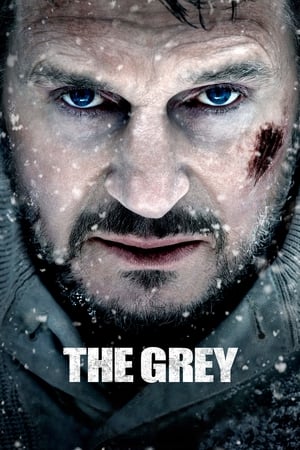 The Grey 2011 Hindi Dual Audio 480p BluRay 360MB - Movierulz