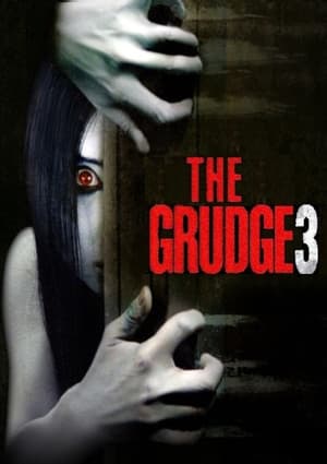 The Grudge 3 2009 Hindi Dual Audio 480p Web-DL 300MB - Movierulz