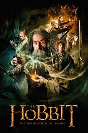 The Hobbit The Desolation of Smaug (2013) Hindi Dual Audio Movie Hevc [200MB] BRRip - Movierulz